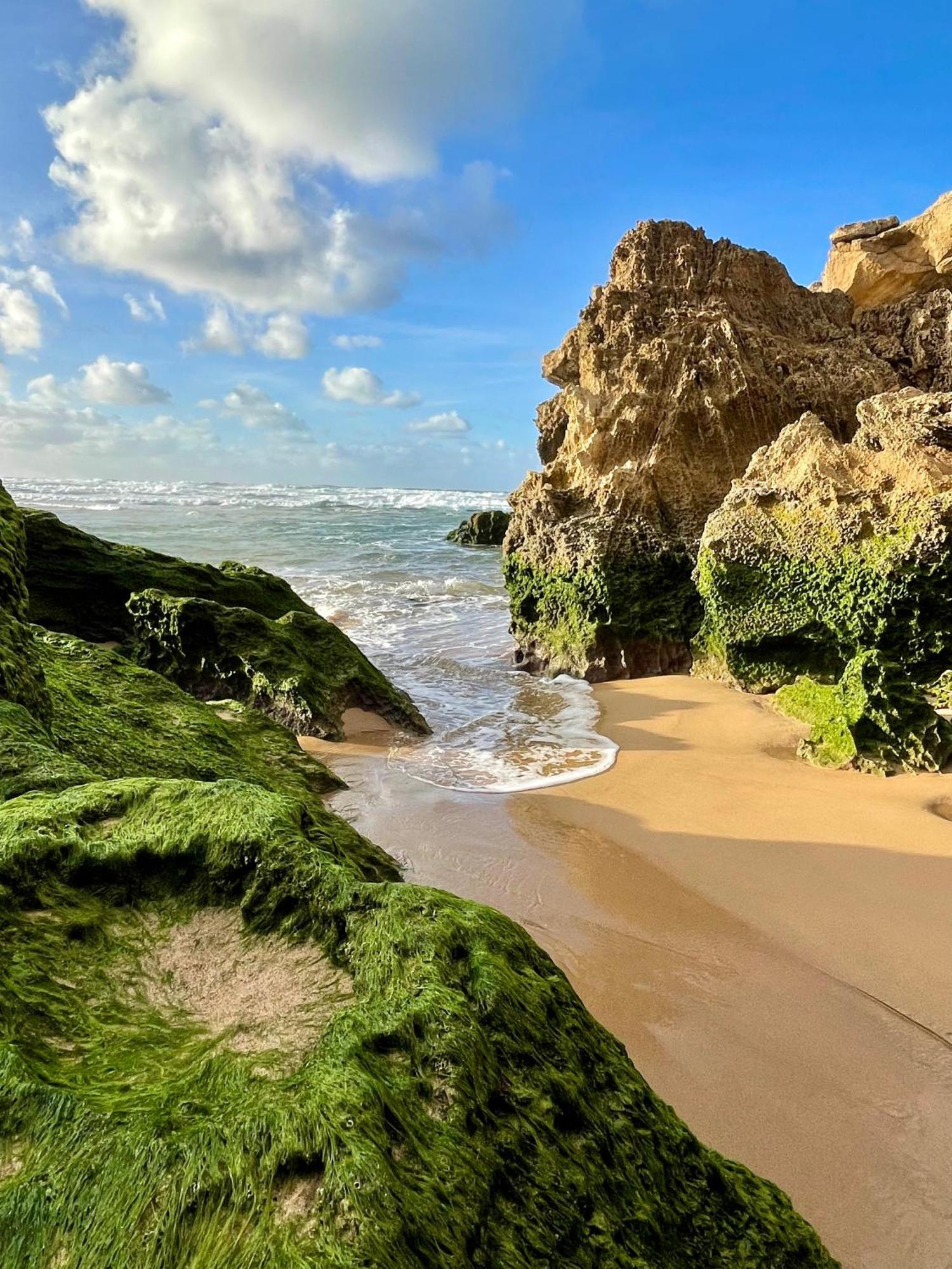 California Dream Inn Aljezur Luaran gambar