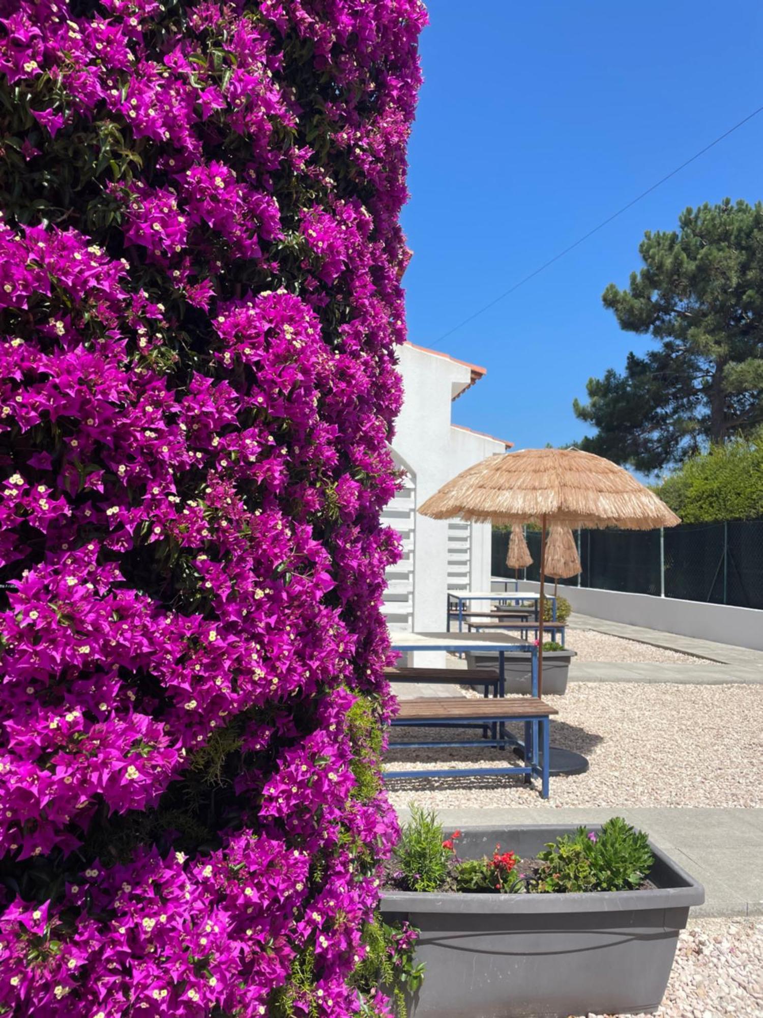 California Dream Inn Aljezur Luaran gambar